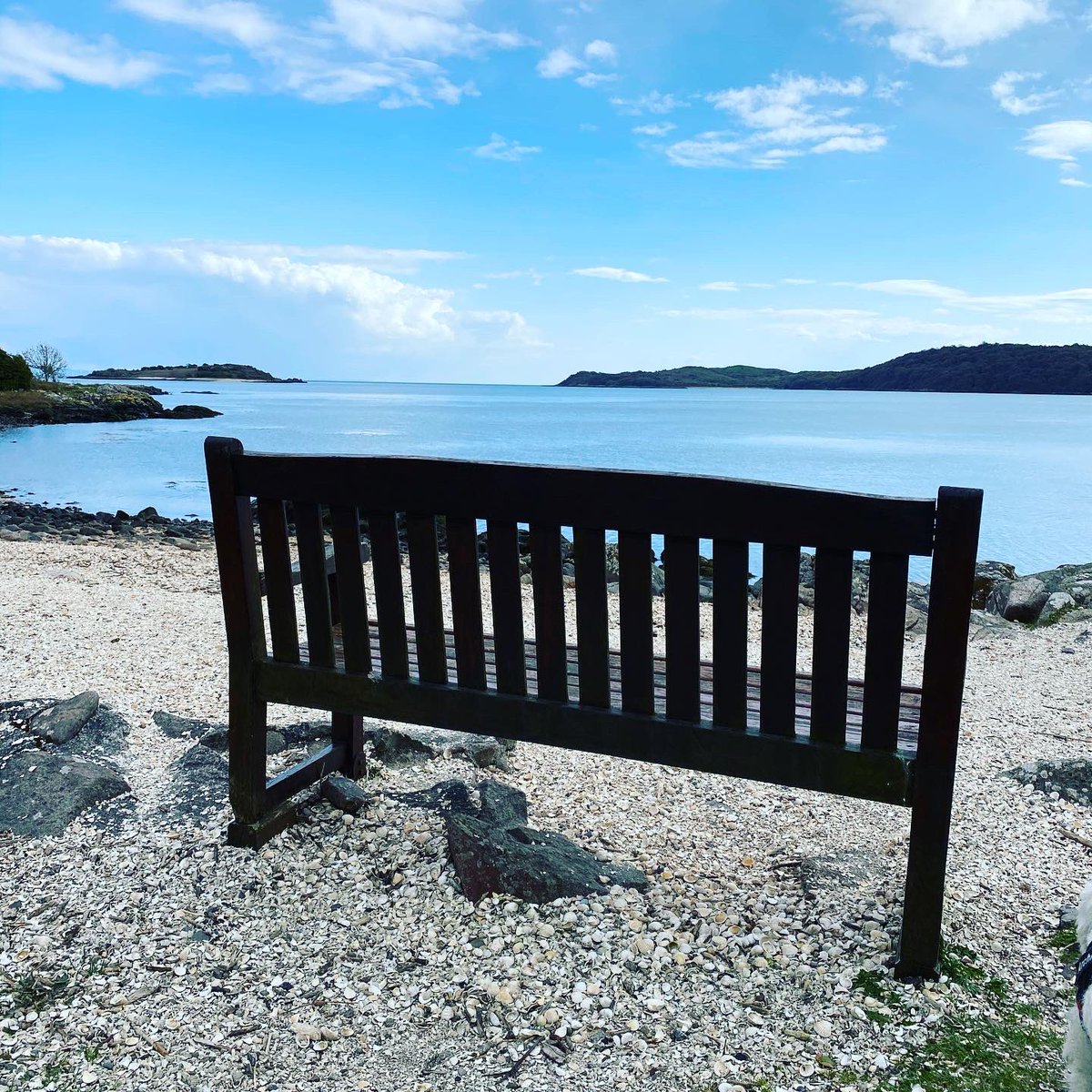 RadioKLG's tweet photo. Hereโs one of my favs @MyFaveBench overlooking the sea at Kippford where I used to live ๐ฅฐ https://t.co/Lm3Y0kflt2