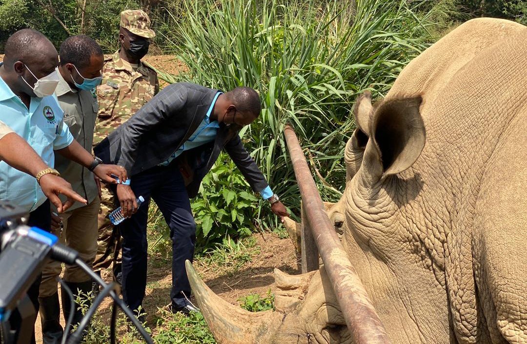 UWEC_EntebbeZoo's tweet photo. We are delighted to announce that registration for #Zoohackathon 2021 is now open!
To register your team to create tech solutions and 🚫 #endwildlifetrafficking, please click here https://t.co/PRvdmYQrJW
#ZooHack2021 https://t.co/OPVeNUNtxR