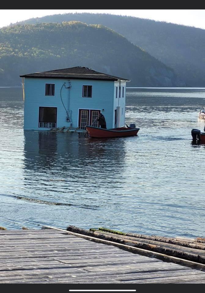 artcgreen's tweet photo. Meanwhile in Newfoundland https://t.co/8YZKDzorGz