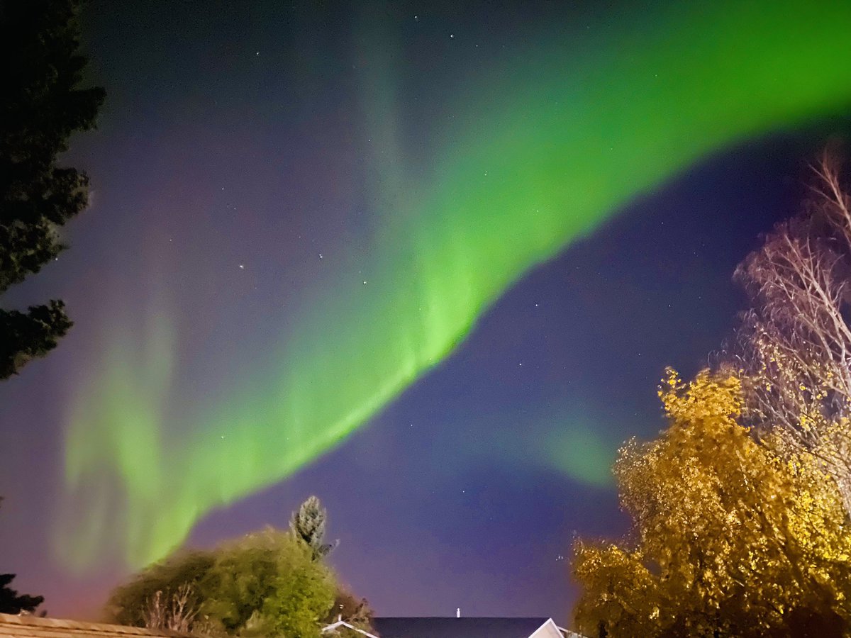 Dan Davies tweet media