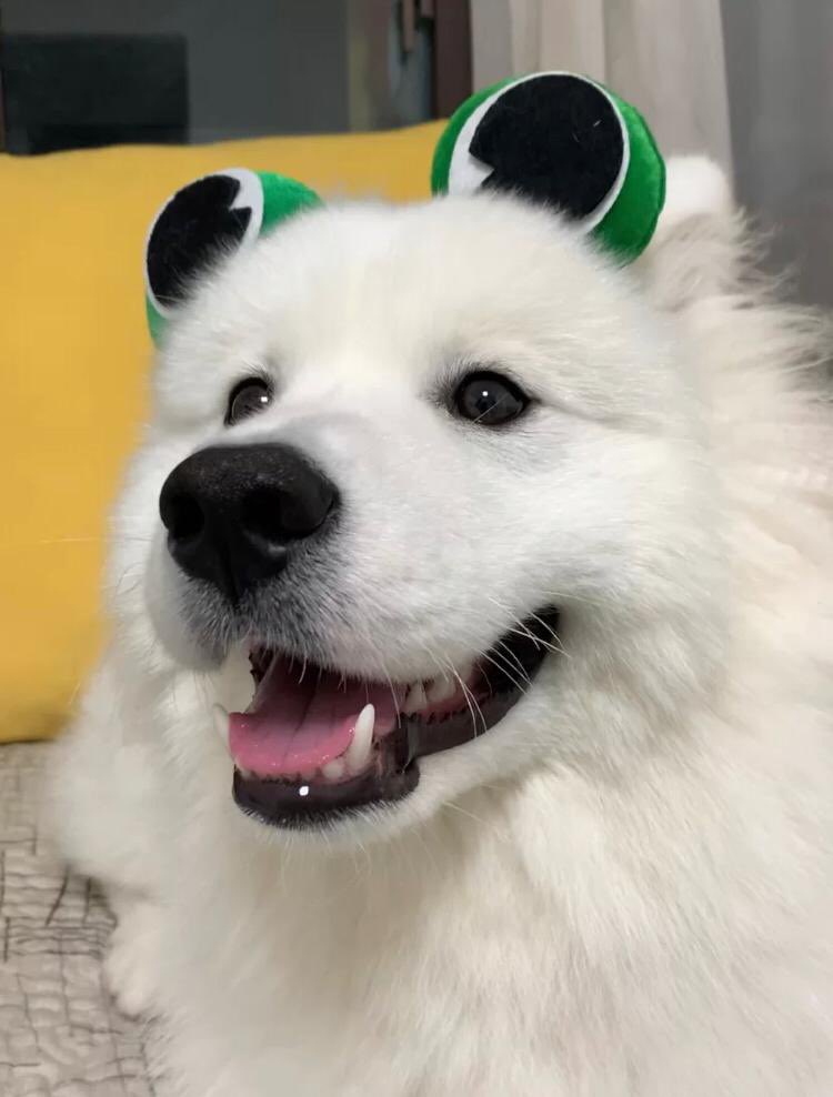 It's time to say good night. Sweet dreams.