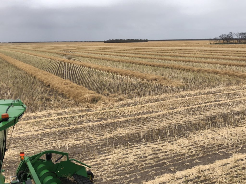 Tom Curnow tweet media