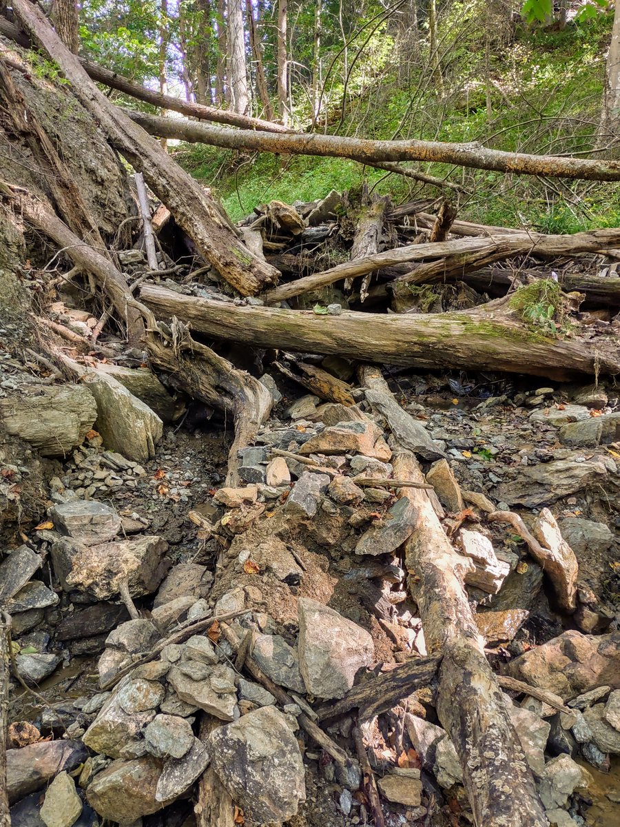 chriskincaid232's tweet photo. Almandine garnets in mica chlorite schist, Little Pine Garnet Mine, Madison Co, NC.

Tried a new spot about 10 feet down the side of the tailings and hit some good material! Although most are still in the matrix, should clean up nicely.

#Rockhounding #Prospecting https://t.co/rv6LAymWta