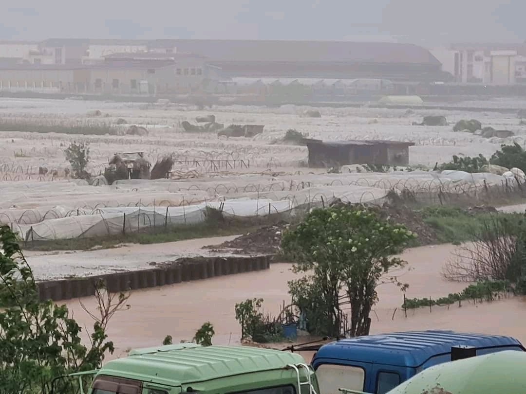 kopeeebreak0207's tweet photo. Strawberry farm in La Trinidad Benguet 😭😭
©️PanayNews
#NorthLuzonNeedsHelp
#CagayanNeedsHelp
#IlocosNeedsHelp
#LaUnionNeedsHelp
#BenguetNeedsHelp
#DownstreamNeedsHelp
#RescuePH
#MaringPH https://t.co/kxwK50NWKi