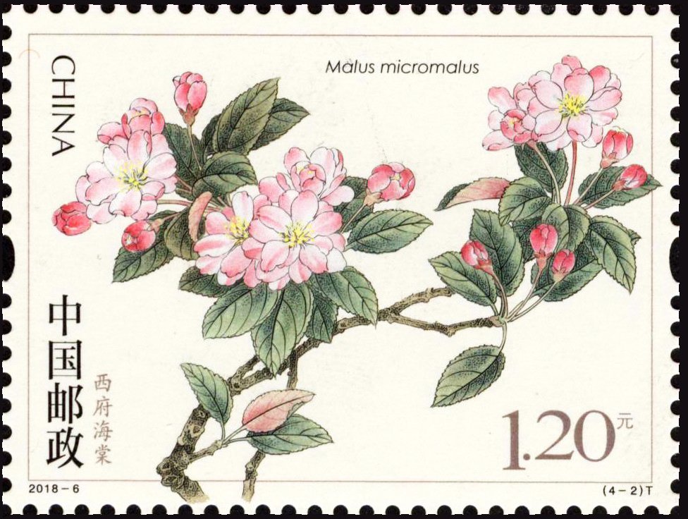 StampsBot's tweet photo. https://t.co/ihxdYFMhli