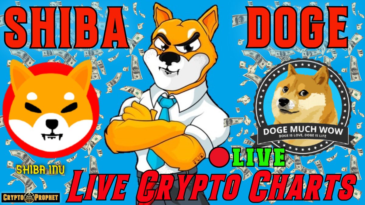 CryptoVisions1's tweet photo. Come check out my new 24/7 Live Stream, DogeCoin &amp; Shiba Inu charts up.

https://t.co/Qe5j0K8VMu https://t.co/L4WQW1RH99