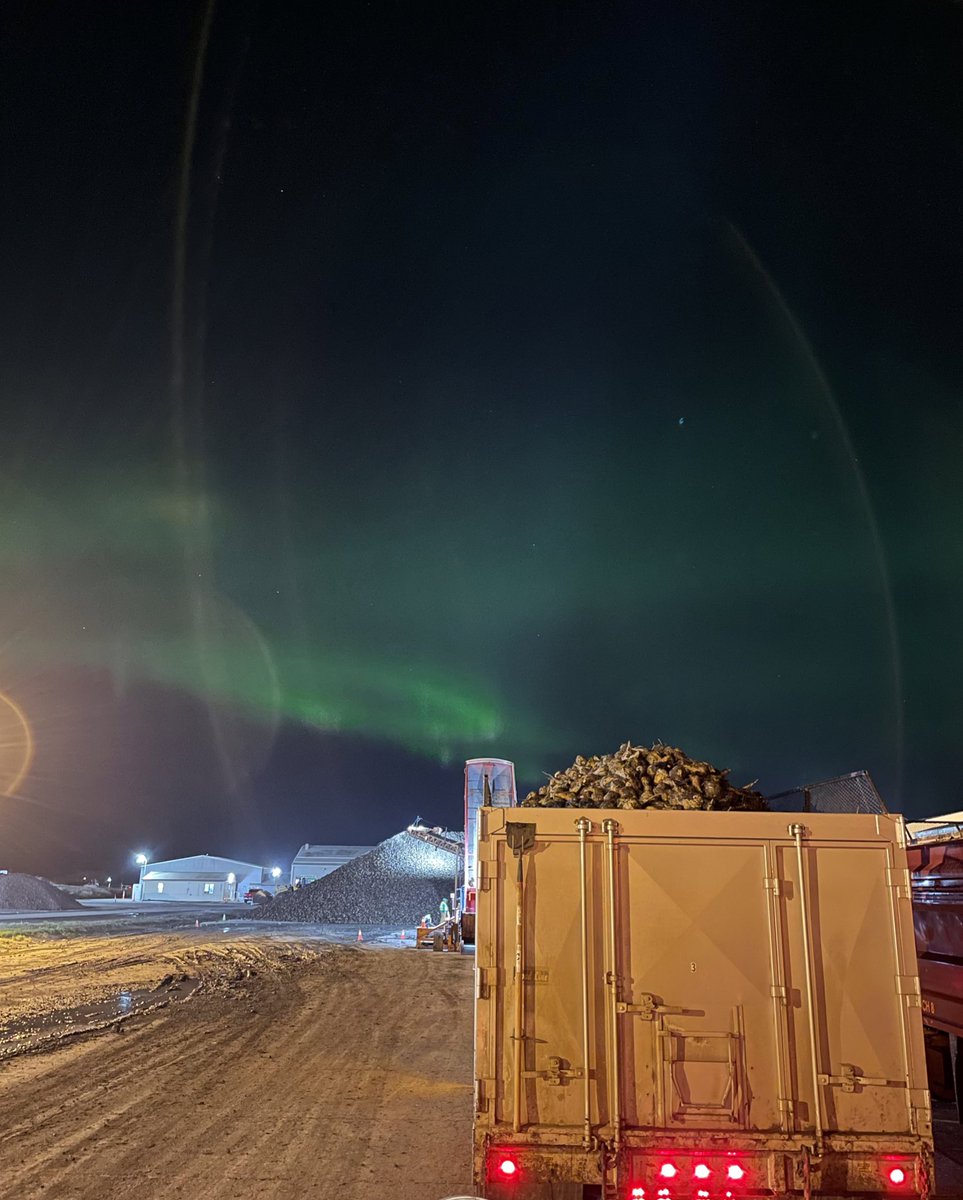 Dylan Slominski tweet media