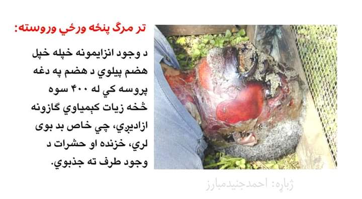 mnoormuslim's tweet photo. https://t.co/C09aFhQkOb