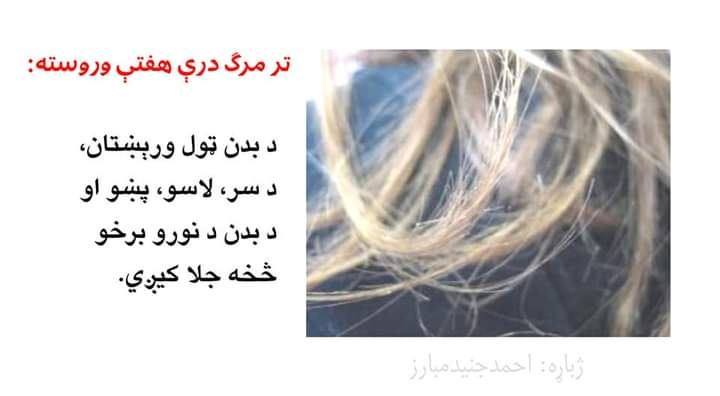 mnoormuslim's tweet photo. https://t.co/C09aFhQkOb