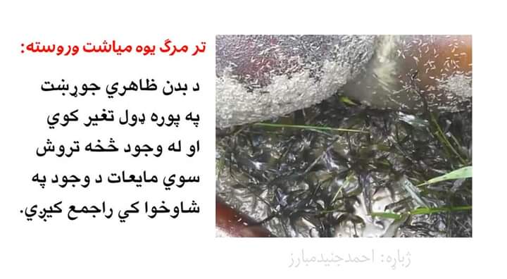 mnoormuslim's tweet photo. https://t.co/C09aFhQkOb