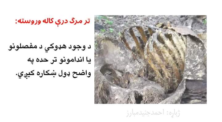 mnoormuslim's tweet photo. https://t.co/1eBNxTCWMO