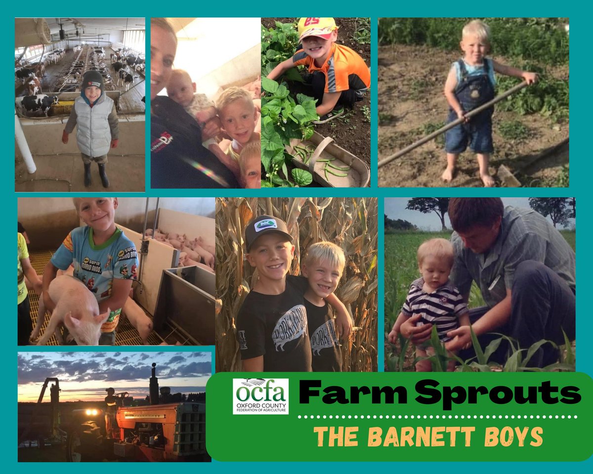 instagram.com/p/CU6j4AiA5ts/…

facebook.com/23307328013168…

Take a peek at #OntAgWeek OCFA ‘Farm Sprouts’ story mimicking The Three Little Pigs... future farmers, the Barnett Boys of Lakeside ON.
