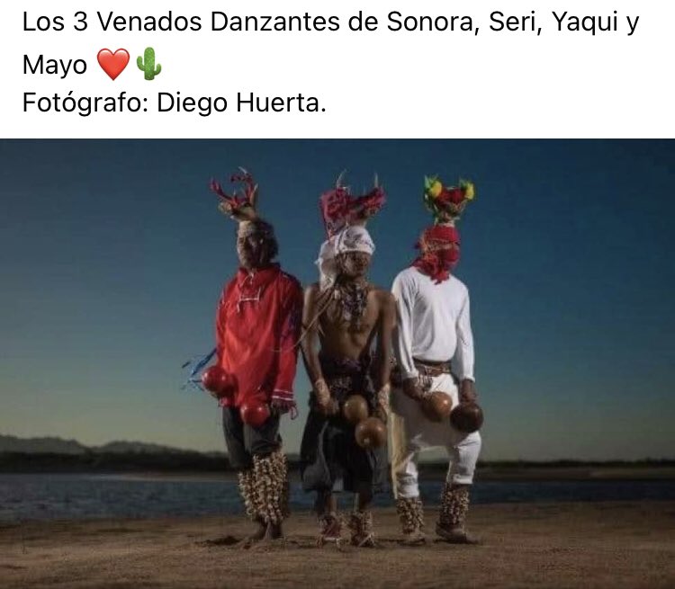 Irayda Flores tweet media