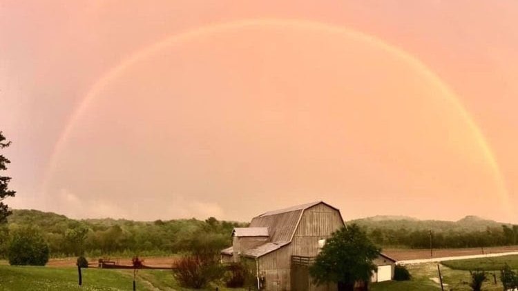 Newest newsletter from the RegenerativeSchool.org-- let's talk about regenerating the inner landscape: regenerativeschool.substack.com/p/the-remind-n…