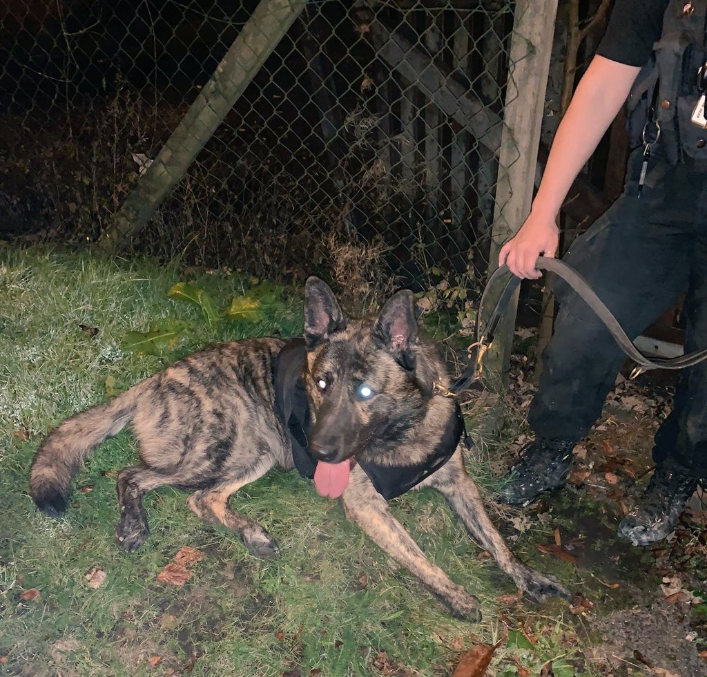 PC_Fulford's tweet photo. #NightShift 10pm/7am β‘οΈ 00:29 Hours Marked Patrols of Rose Hill #Lickeyend, #Bromsgrove β‘οΈ Came across a person, who hid from us β‘οΈ @K999Cops attended, Tracked, located them hiding β‘οΈ Arrestted for Going Equipped βοΈ Poss of Class B Drug π« Now awaiting interview in #PoliceCustody https://t.co/S7ECOgsLWs