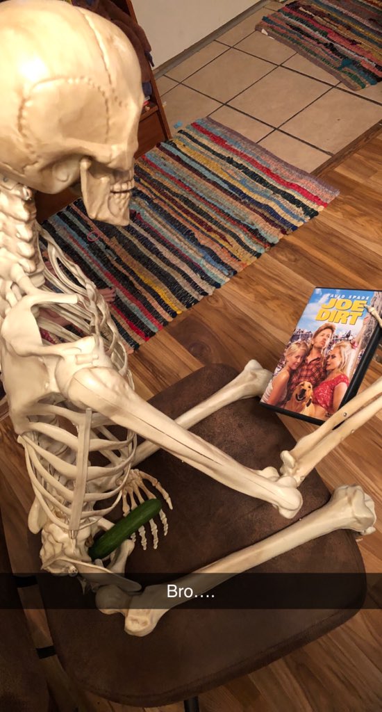 MyBed_022's tweet photo. WTF JERRY!?!? Day 3 with #jerrytheskeleton #spookymonth #Halloween #SpookySZN https://t.co/MZkCngsubm