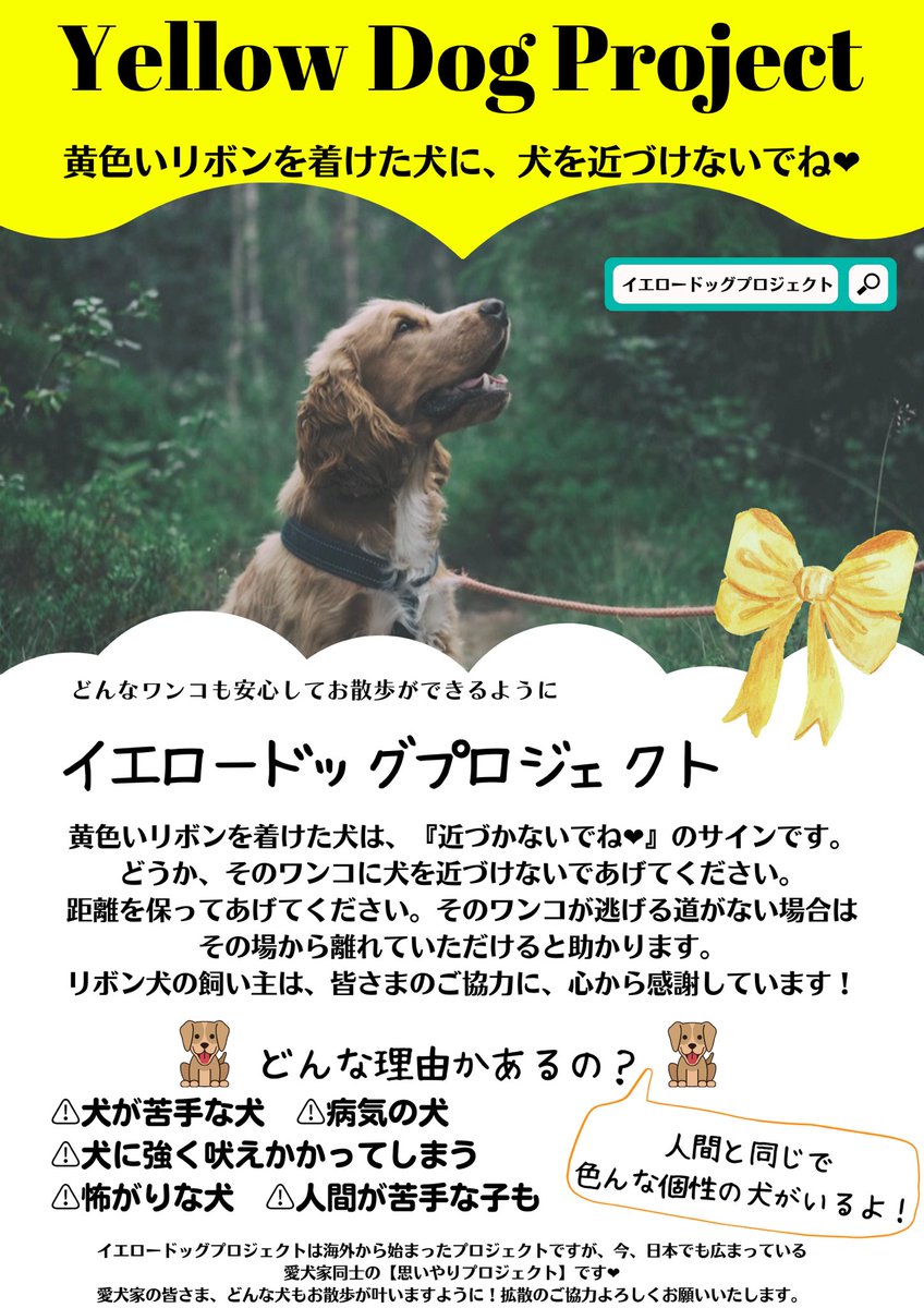 杉戸町にイエロードッグプロジェクトを広めたい Sugitoyellowdog Twitter 杉戸町にイエロードッグプロジェクトを広めたい Sugitoyellowdog Twitter