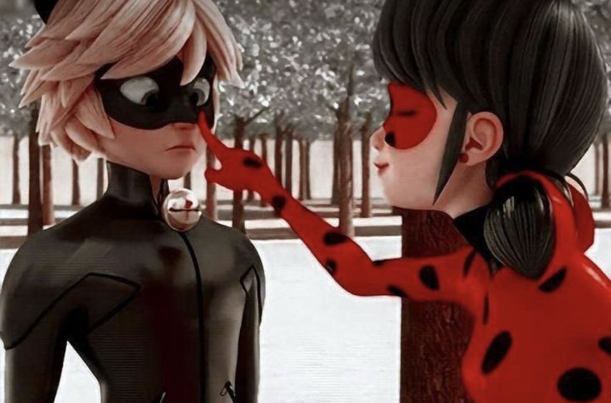 M’lady what are you doing? #MiraculousLadybug #chatnoir #francais #french #english #ladybug #Catnoir