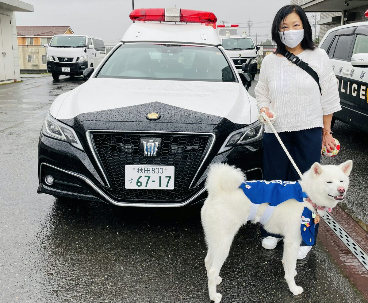 秋田犬警察官 梅子 鹿角警察署 Umeko Police Twitter