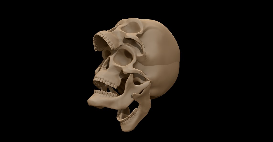 polygon_pushers's tweet photo. skulls will always be fun. #zbrush https://t.co/rtS337zDN9