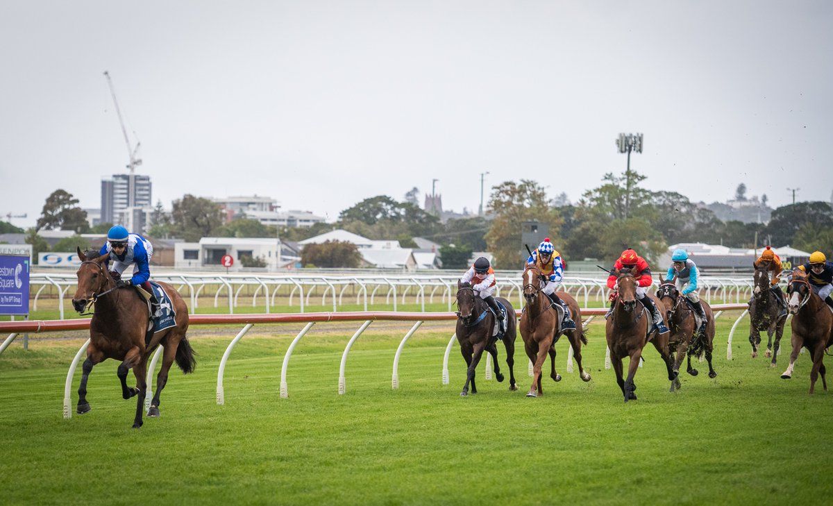 newcastleraces_'s tweet photo. Race fav. &amp; locally trained NORWEGIAN BLISS (Ashley Morgan for Nathan Doyle) wins R4 Sharp Office F&amp;M Cl 1 Hcp (1300m); 2 from 2. 2nd Capri of Tuffy (M Bell), 3rd Sheer Treasure (K Jennings), 4th Spanish Pearl (D Gibbons). RT 1:19.03 (last 600m 34.43). Margins were 3.75L x 1.5L. https://t.co/vRC07MSSUR