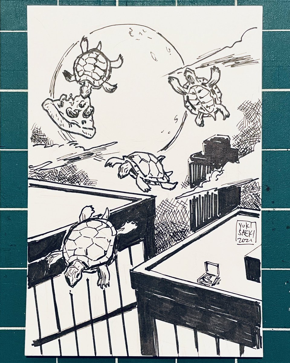 yukisaeki's tweet photo. #autumnwoods2021 Day 11: Turtle 🐢
#octoberartchallenge #ninjaturtles #cowabanga #trutle #penandinkdrawing https://t.co/puSWP5X7A0