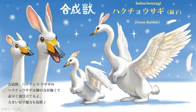 ハクチョウ  ウサギ  の  ハクチョウサギ

#合成獣 