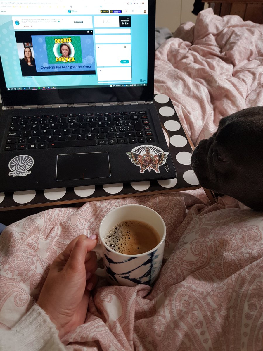 Maya Schenker tweet media