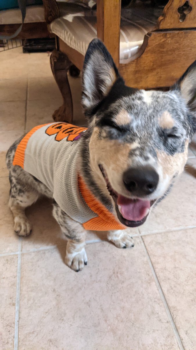 LOOK AT THIS CUTIE OMG 

MY LITTLE TROUBLEMAKER