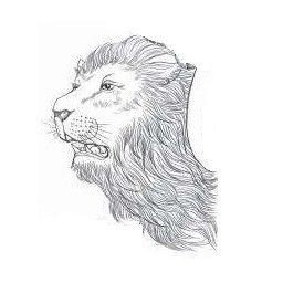 Roy_Lou_XM's tweet photo. Carved Lion Head
Perfect art options for wall decors and tabletops
More pictures see below
https://t.co/kxLVJcfV2j
#handcarve #walldecor #wallsculpture #tabletops #carvedwallpanel #woodcarving #Lions #carvedlions #aesthetics #stained #framed #木の彫刻 https://t.co/KqKIXDOOMD