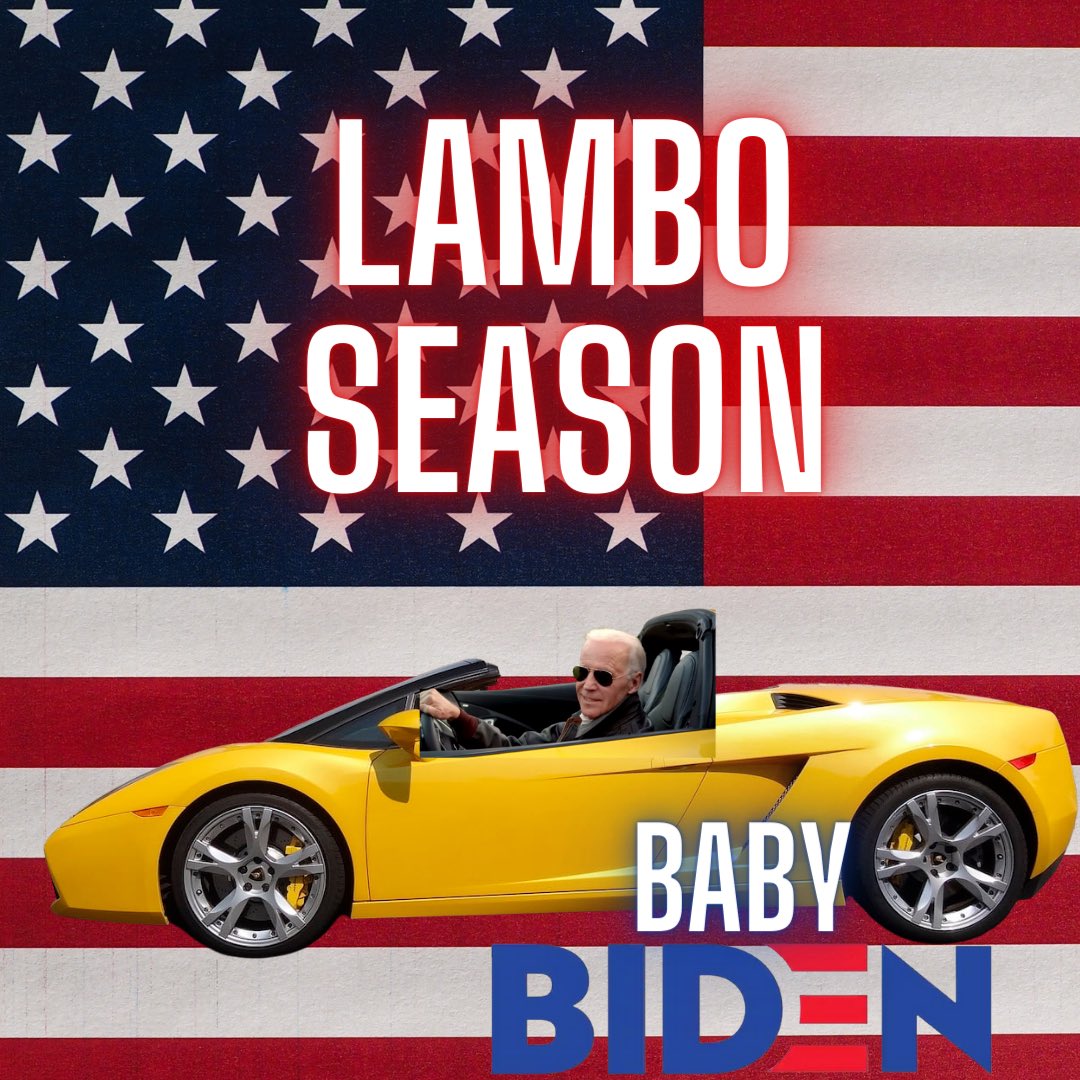 Baby_BidenToken's tweet photo. Baby Biden is the best shot you have  at a lambo Jack! Not non of that Tesla malarkey @elonmusk https://t.co/PyRqebIDdQ