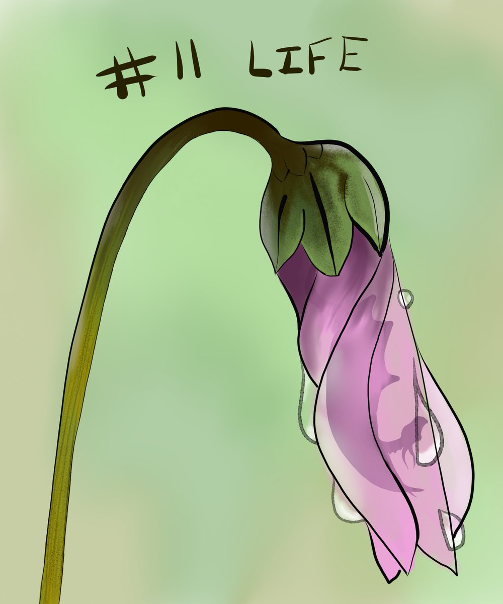 ArmorForEnigma's tweet photo. Day 11: Life, in this case a fairy dragon almost ready to hatch.
#dndtober #dndrawing https://t.co/SoLGlg0HcY