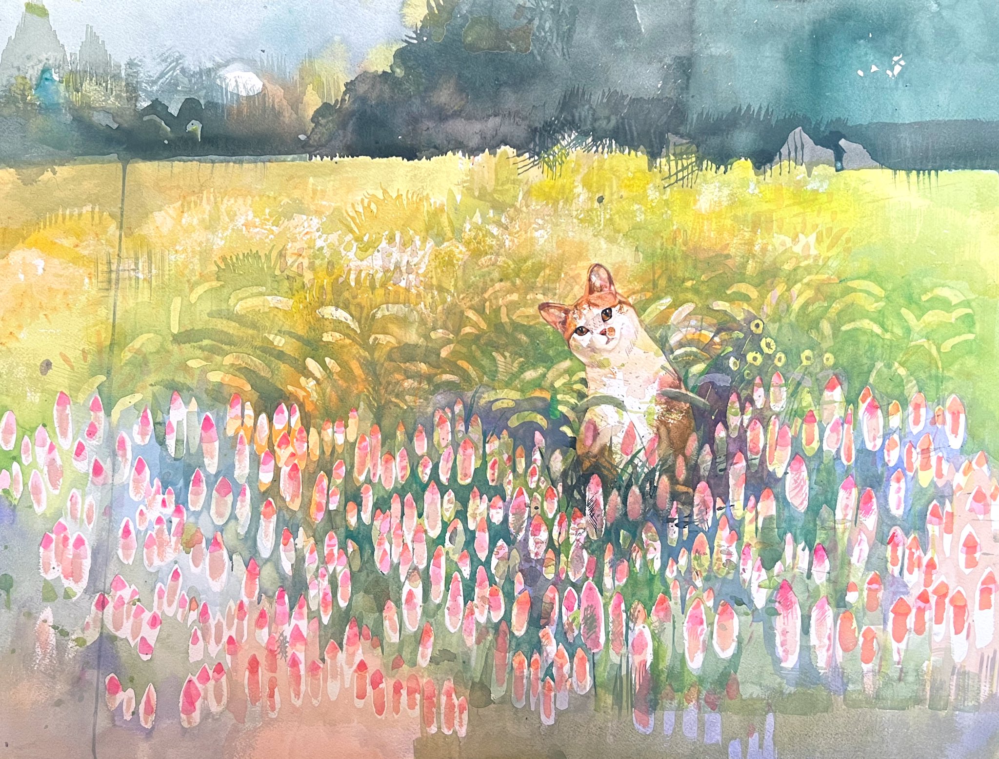 はしもとみお ノゲイトウの花畑と猫の水彩画 T Co Mizsfjghzs Twitter