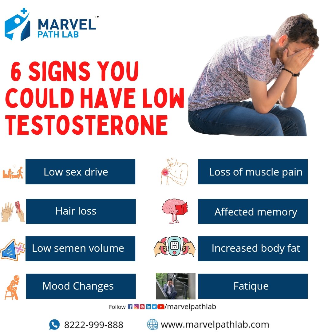 MarvelPathlab's tweet photo. Low testosterone levels can leave you feeling down and deflated and can raise questions like "Why am I losing so much muscle mass?" or "Why do I feel so low on energy all the time?".
#marvelpathlab #lowtestosreron #marvellab #bloodtest #health #healthiswealth https://t.co/cgDArgjsZ6