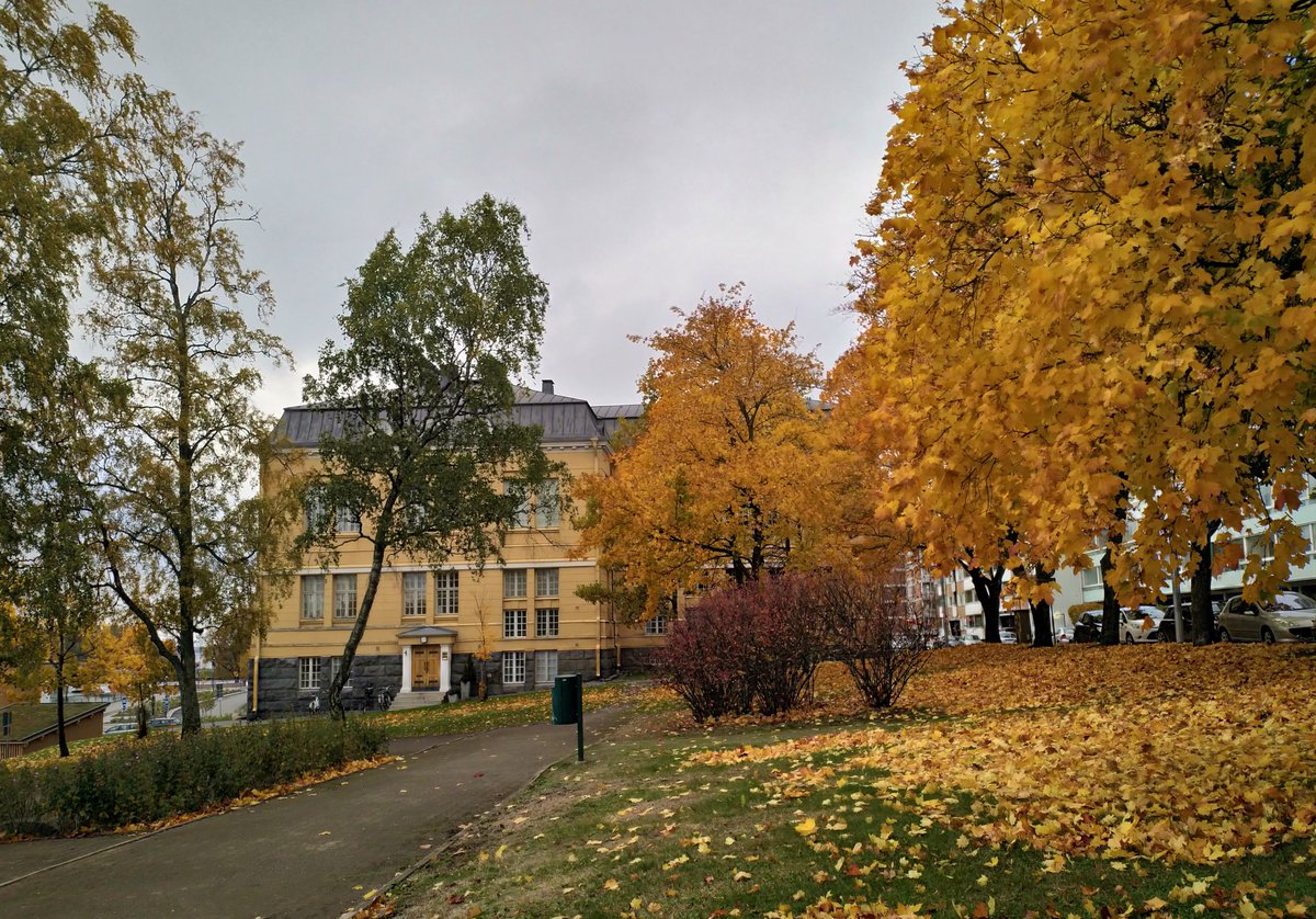 karl_w_nyman's tweet photo. Make your day a wonderful one! #autumn #rantalinna #vasa #vaasa #finland https://t.co/OObf9WS4yN