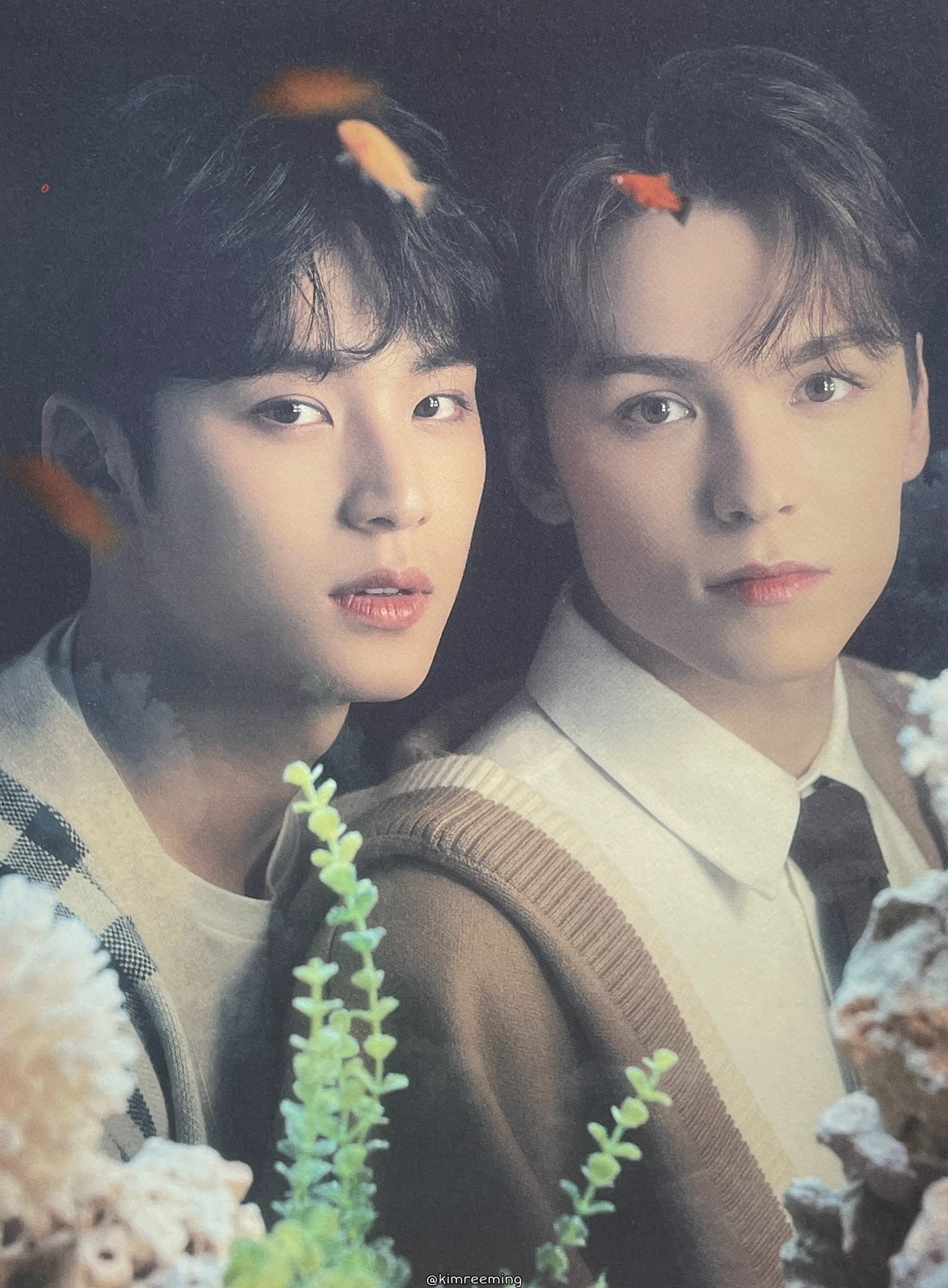 FBeecYuUYAIGVBz?format=jpg&name=large