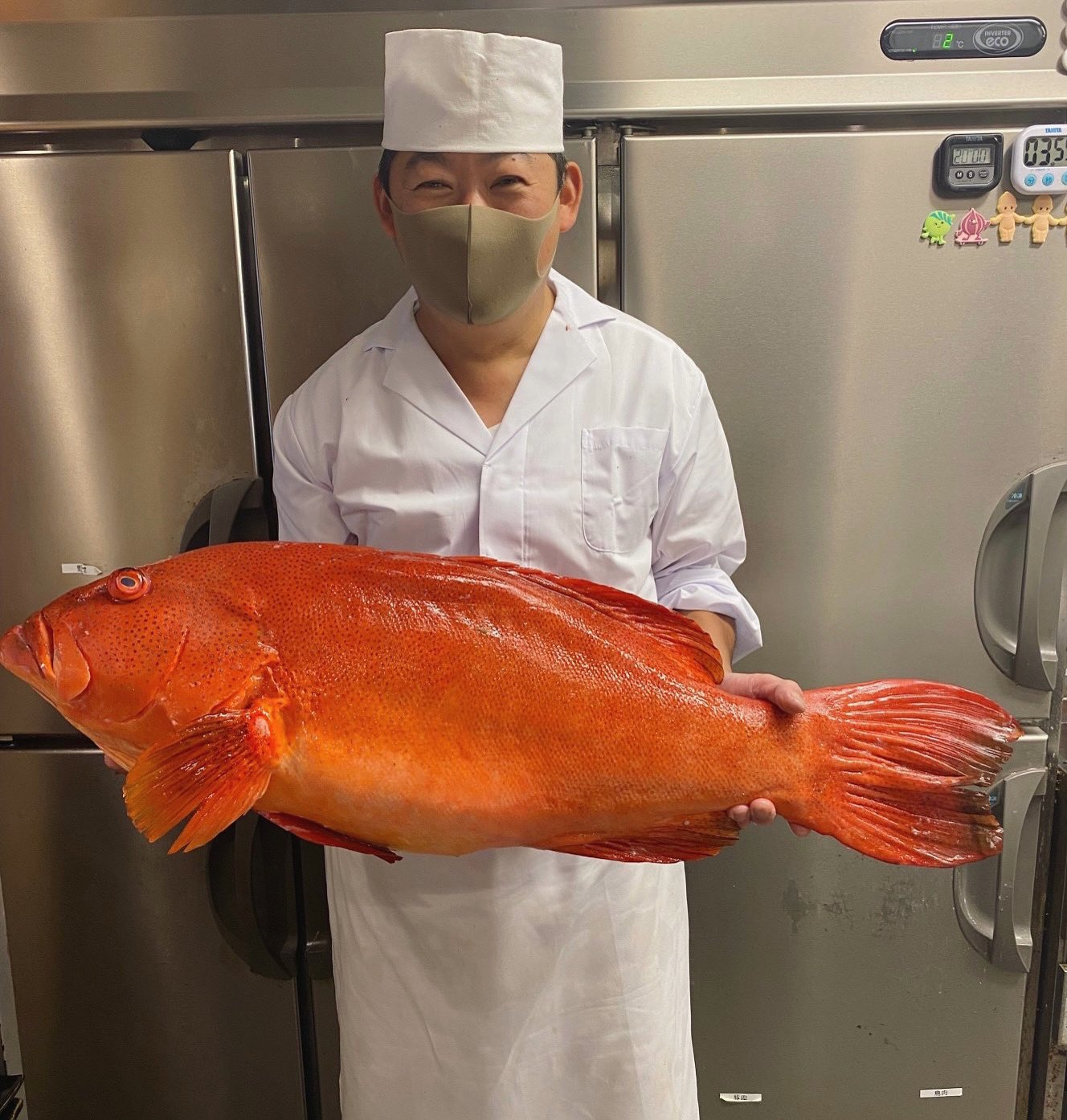 Ittoku Misatochuou 本日の天然魚 沖縄で人気の高級魚スジアラ アカジンミーバイ 刺身 酒蒸し 鍋 煮付けでお出しいたします 本州にはほとんど流通しない幻の高級魚を是非ご賞味ください T Co Nlvd2kn6wy Twitter