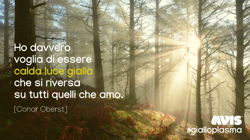 avisnazionale's tweet photo. C'è qualcosa di giallo che illumina davvero la vita di tante persone.
È il #plasma che donate con tanta generosità, da cui si estraggono farmaci salvavita 🙏

#Avis #gialloplasma #BeYellow https://t.co/zXqR4U1wJn