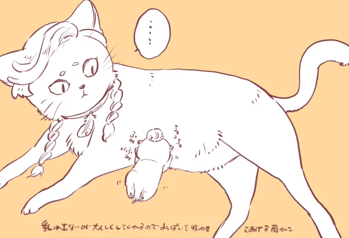 *擬獣化
はすきーの赤ちゃんを拾ったこねこ 