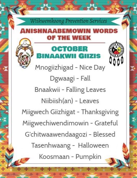 Tracey King MEd Higher Ed, MEd Aboriginal Ed 2022 tweet media