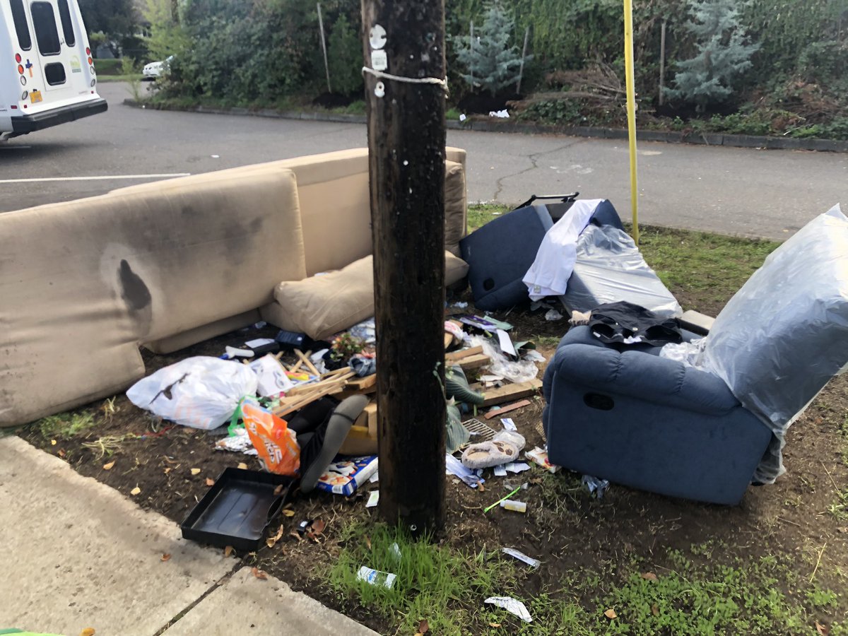 Pile of trash on the side of the rode containing at least 2 broken recliners, a couch, and a smashed TV amongst plastic bags and other refuse.