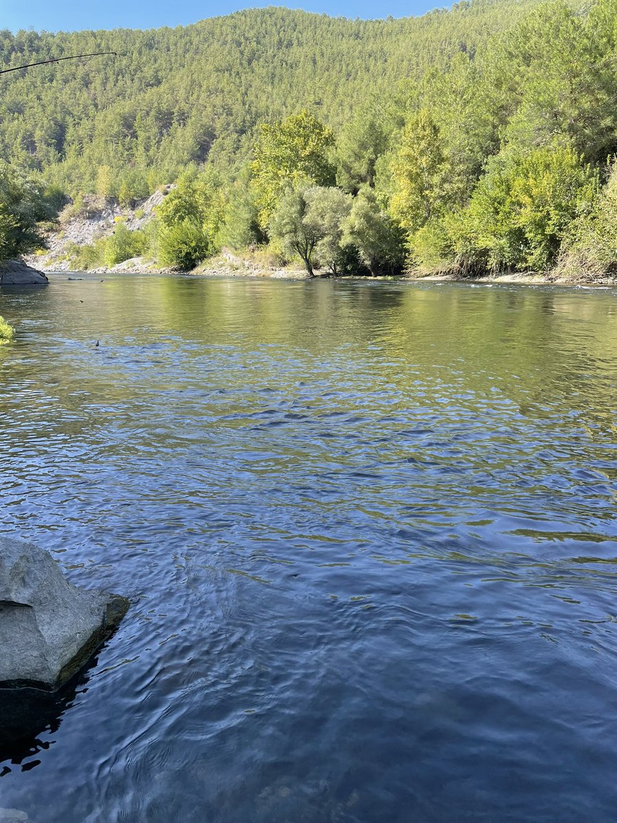 Yusuf Turan tweet media