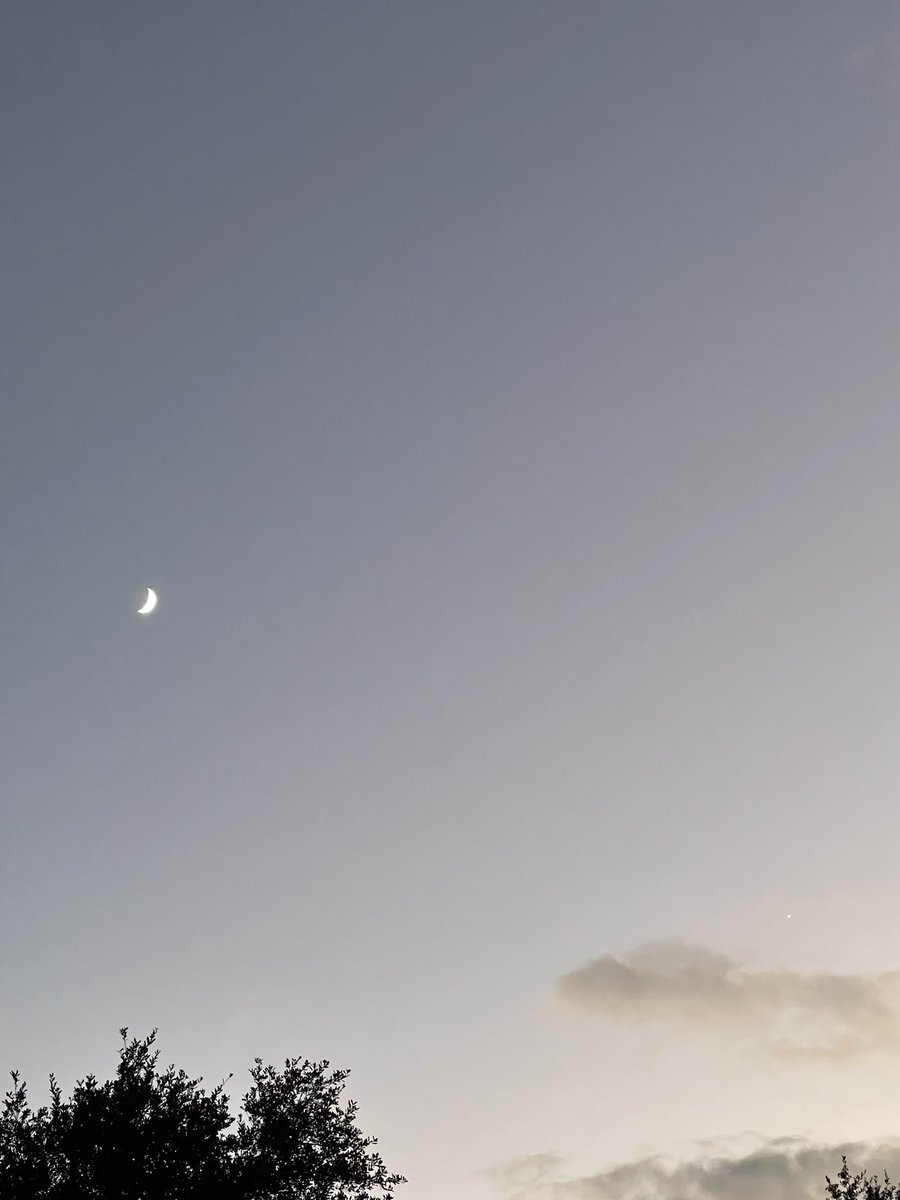 mmirandaalaine's tweet image. breathe tonight 
give life to the sky
remember the strength 
of you and I 

🌙

#WritingCommunity #vssDreams #poetry