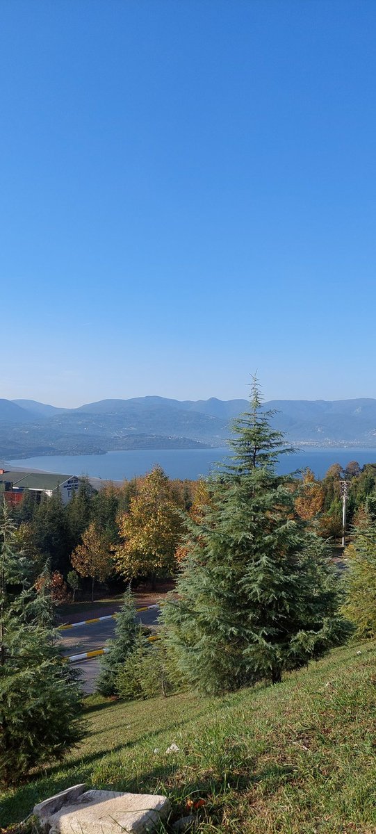 Büşra 🌼 (@upsydaiissy) on Twitter photo 