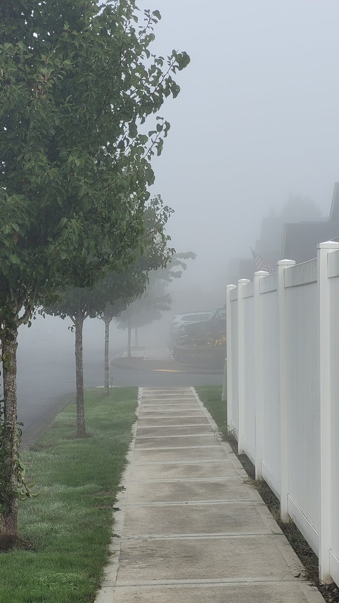 tommegma's tweet photo. Morning and evening.

#weather #mist #autumn #fall #opposites https://t.co/XPmZRFX4hl