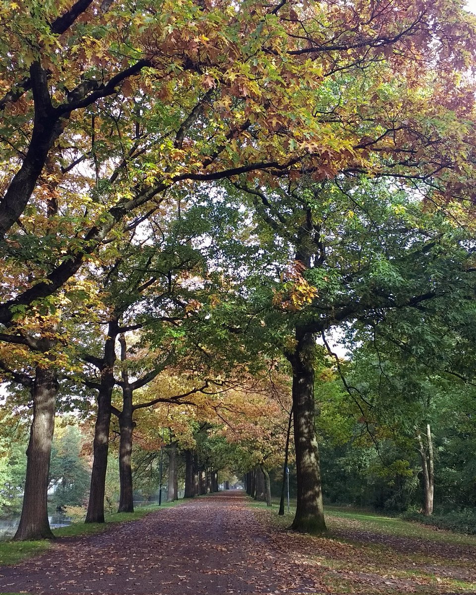 LocalByAny's tweet image. During #autumn you can easily being inspired, because  it is the perfect season especially in the forest to have a great creative experience called "Creative Solitude".
Are you  a creative culturally curious traveler? #creativity #localbyany  #travel
#mylocalstory #tradition