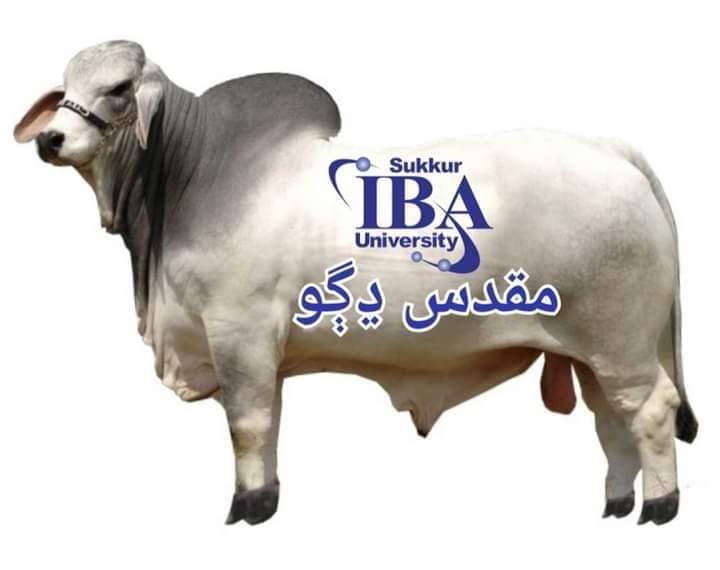 tarique_jatoi's tweet photo. IBA Sukkur is not a holy cow. Investigation must be taken into the matter pertaining to wrong answer keys.
#SardarShahisTamilMoviesVillian
#AppointAll40PlusCandidates #SindhReject45PercentPolicy @AyazLatifPalijo @Sukkur_IBA @sardarshah1 @SindhCMHouse https://t.co/4XWEv02op2