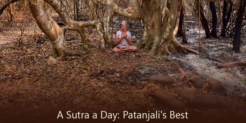 YogaEve's tweet photo. A Sutra a Day: Patanjali’s Best 
https://t.co/l8UNFvFwMw
Source: https://t.co/G6OxB0wYCY via Allied on Pinterest   The first time I went to the Iyengar Institute in Poona, India, I was a babe in the woods in so many ways.... https://t.co/MscQJE6EDR