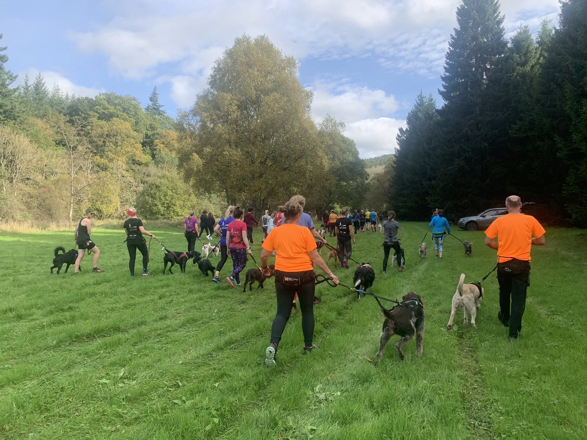 Miniclick_'s tweet photo. Cora marshalling for the first @LincsDobermann canicross event. It was such a success that another is being planned. 

#corathedalmatian #canicross #hamsterleyforest @ForestryEngland #dalmatian #naturesplayground #ukforest #forest #charityevent https://t.co/FExBU7v1Kp