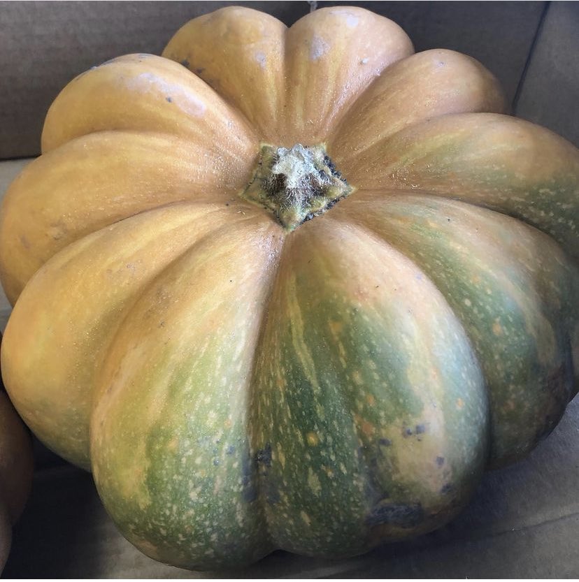 NeighbourfoodL's tweet photo. It’s Tuesday - don’t forget your NeighbourFood order today. This week we have 46 local suppliers offering 1803 fantastic products - everything from pumpkins to Prosecco! 

Shop online at https://t.co/fLlb9a0nA5 before midnight tonight. 

#LookforLocalLimerick
#ShopLocal #EatLocal https://t.co/wbP9dPtACR